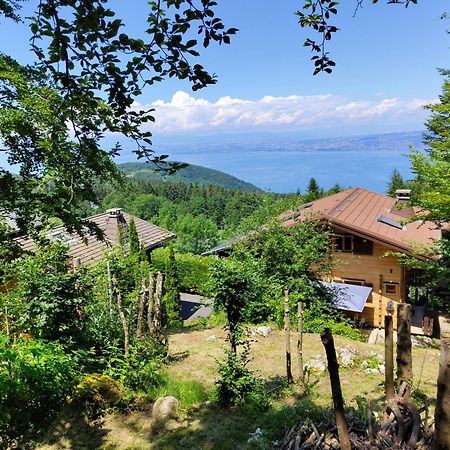 Chalet La Trouvaille 톨롱 외부 사진